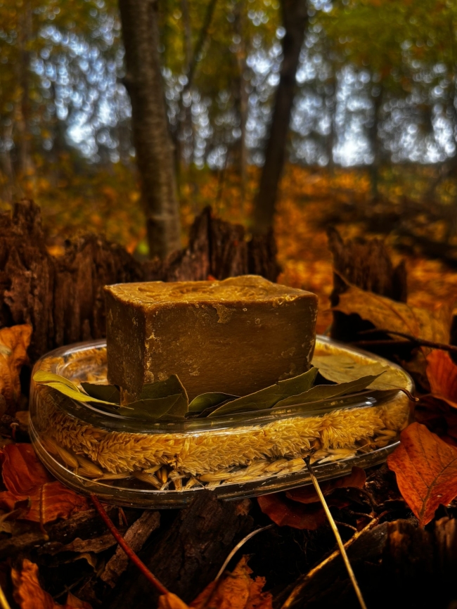 Savon d’Alep 10% laurier