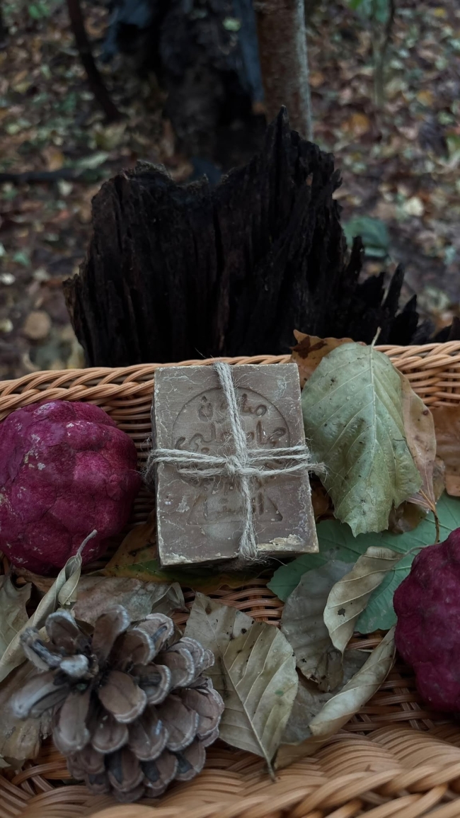Savon d’Alep 10% laurier